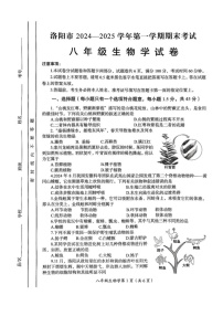河南省洛阳市2024-2025学年八年级上学期期末考试生物学试卷