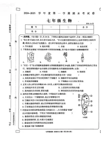 河南省周口市鹿邑县2024-2025学年七年级上学期1月期末生物试题