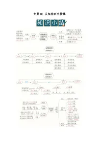 专题03 从细胞到生物体（word）2025-2026学年七上初中生物学人教版2024期末复习学案知识点+习题