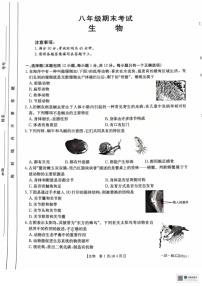 辽宁省盘锦市大洼区2024-2025学年八年级上学期1月期末生物试题
