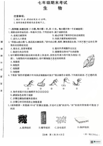 辽宁省盘锦市大洼区2024-2025学年七年级上学期1月期末生物试题