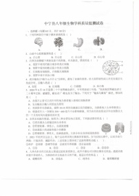 宁夏中卫市中宁县2024-2025学年八年级上学期1月期末生物试题
