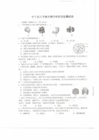 宁夏中卫市中宁县2024-2025学年八年级上学期1月期末生物试题