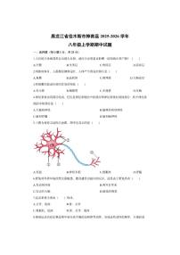 黑龙江省佳木斯市桦南县2025-2026学年八年级上学期期中生物试卷（学生版）