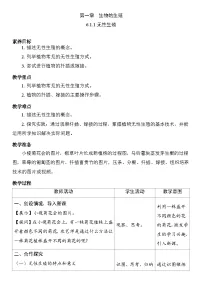 八年级下册（2024）第一节 无性生殖教案