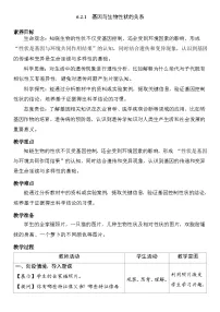 人教版（2024）八年级下册（2024）第一节 基因与生物性状的关系表格教案及反思