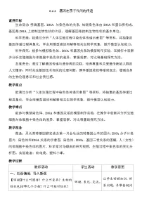人教版（2024）八年级下册（2024）第二节 基因在亲子代间的传递表格教案