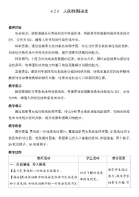 初中生物人教版（2024）八年级下册（2024）第四节 人的性别决定表格教案设计
