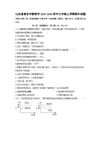 山东省泰安市新泰市2025-2026学年七年级上学期期中生物试卷（学生版）