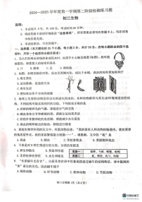山东省烟台市莱山区（五四制）2024-2025学年八年级上学期期末考试生物试题