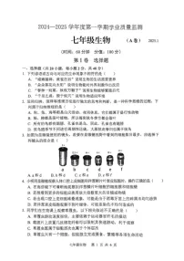 山东省枣庄市山亭区2024-2025学年七年级上学期期末检测生物试卷