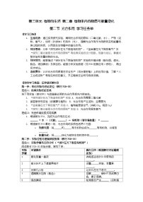 七年级下册（2024）光合作用学案