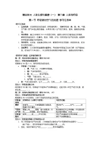 初中生物人教版（2024）七年级下册（2024）呼吸道对空气的处理学案及答案