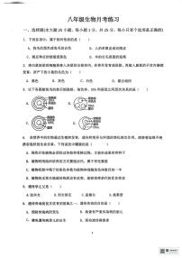 陕西省安康市部分学校2025-2026学年八年级上学期12月月考生物试题
