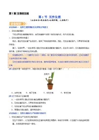 初中生物人教版（2024）八年级下册（2024）第一节 无性生殖学案