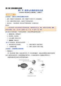 人教版（2024）八年级下册（2024）第一节 基因与生物性状的关系学案