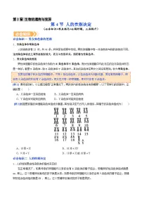 初中生物人教版（2024）八年级下册（2024）第四节 人的性别决定学案及答案