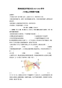 陕西省延安市延长县2025-2026学年八年级上学期期中生物试卷（学生版）