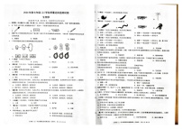 重庆市南川区2024-2025学年七年级上学期期末考试生物试题