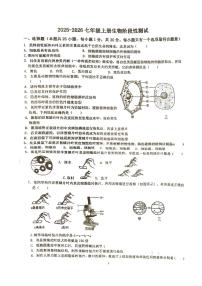 江苏省徐州市沛县第三中学联盟学区2025-2026学年七年级上学期12月月考生物试题