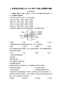 广东省茂名市多校2025-2026学年八年级上学期期中生物试卷（学生版）
