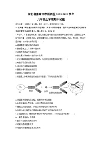 河北省张家口市桥西区2025-2026学年八年级上学期期中生物试卷（学生版）