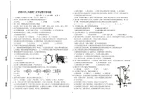 山东省滕州市西岗中学2025-2026学年八年级上学期第二次月考生物试题
