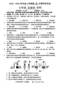 辽宁省抚顺市、铁岭市、葫芦岛市多校2025-2026学年七年级上学期第四次联考生物试题（月考）