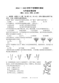福建省漳州一中碧湖校区2024-2025学年七年级下学期期中测试生物试题