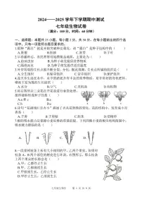 福建省漳州一中碧湖校区2024-2025学年七年级下学期期中测试生物试题