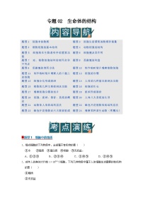 专题02 生命体的结构 （期末复习专项训练）2025-2026学年七年级初中生物（北师大2024）