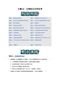 专题04 生物的生殖和发育（期末复习专项训练）2025-2026学年八年级初中生物（北师大2024）