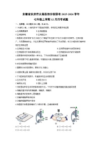 安徽省安庆市太湖县部分校联考2025-2026学年七年级上学期12月月考生物试卷（学生版）