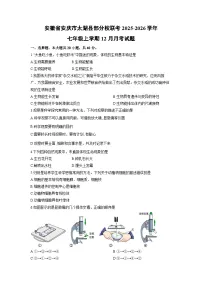 安徽省安庆市太湖县部分校联考2025-2026学年七年级上学期12月月考生物试卷（学生版）