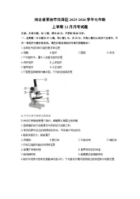 河北省邢台市任泽区2025-2026学年七年级上学期12月月考生物试卷（学生版）