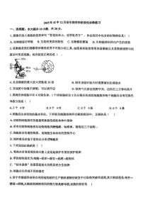襄阳42中2025-2026学年上学期12月考七年级生物试卷（PDF版含答案)