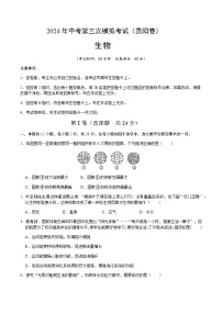 2024年中考生物（贵阳）第三次模拟考试（含答案）