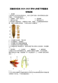 河南省许昌市2024-2025学年七年级下学期期末生物试题