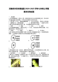 河南省许昌市襄城县2024-2025学年七年级上学期期末生物试题