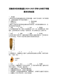 河南省许昌市襄城县2024-2025学年七年级下学期期末生物试题