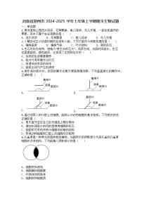 河南省郑州市2024-2025学年七年级上学期期末生物试题