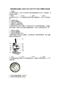 河南省郑州市高新区三校联考2025-2026学年七年级上学期期中生物试题