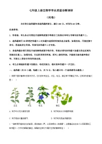 广东省广州市白云区2024-2025学年七年级上学期期末生物试题（含答案）