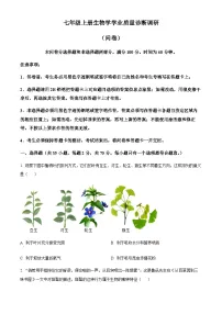 广东省广州市白云区2024-2025学年七年级上学期期末生物试题（含答案）