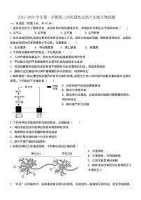 山东省德州市齐河县三校联考2025-2026学年八年级上学期第二次阶段性总结生物试题（月考）