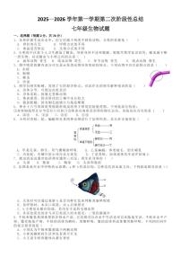 山东省德州市齐河县三校联考2025-2026学年七年级上学期第二次阶段性总结生物试题（月考）