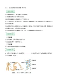 人教版（2024）八年级下册（2024）第二节 基因在亲子代间的传递课时作业