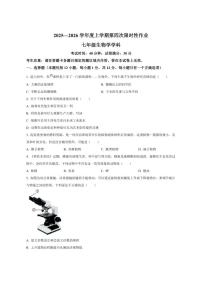 2025-2026学年辽宁省葫芦岛市龙港区七年级上学期第四次联考生物试题（有答案）