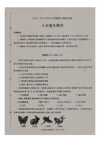 2024-2025学年河南省平顶山市鲁山县上学期八年级期中生物学试卷（有答案）
