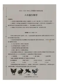 2024-2025学年河南省平顶山市鲁山县上学期八年级期中生物学试卷（有答案）